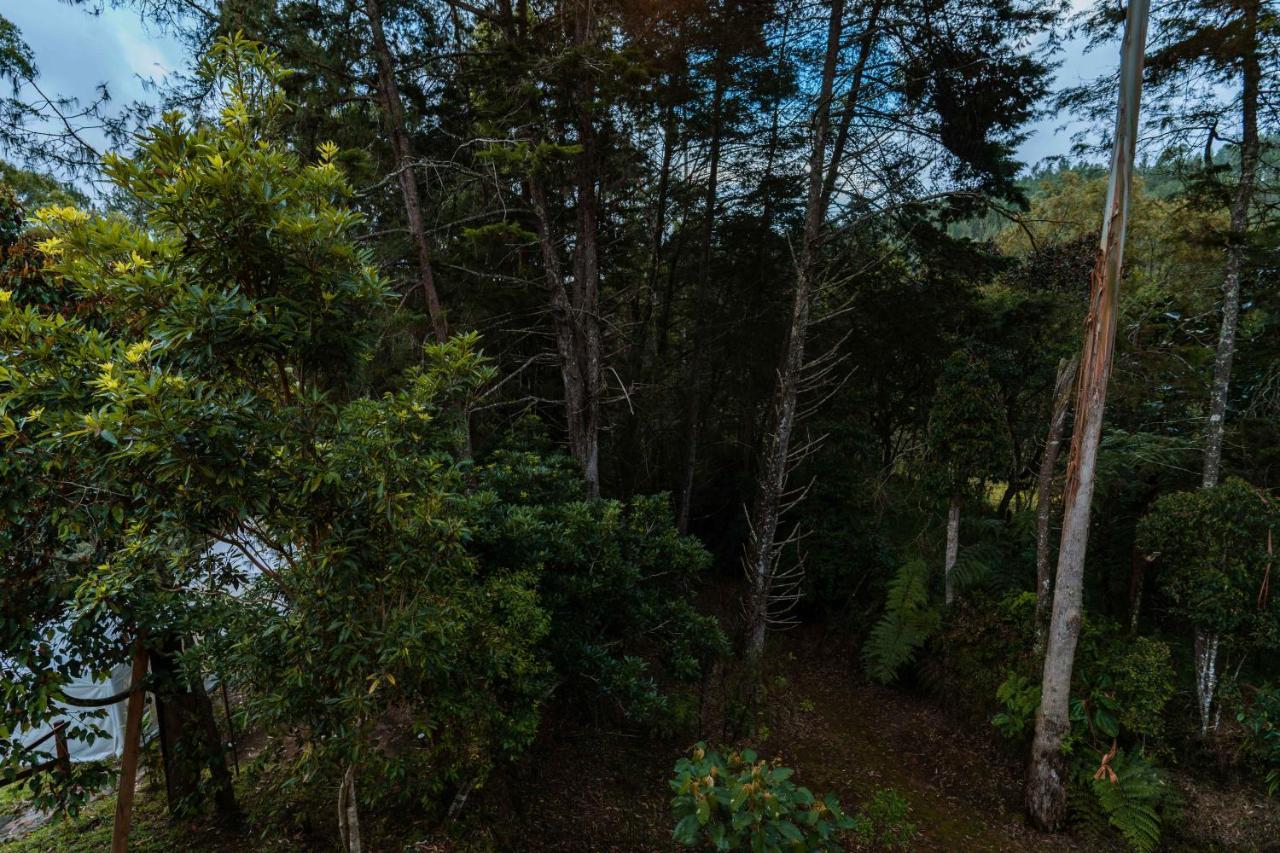Alma Hotel Campestre サンタ・エレナ エクステリア 写真