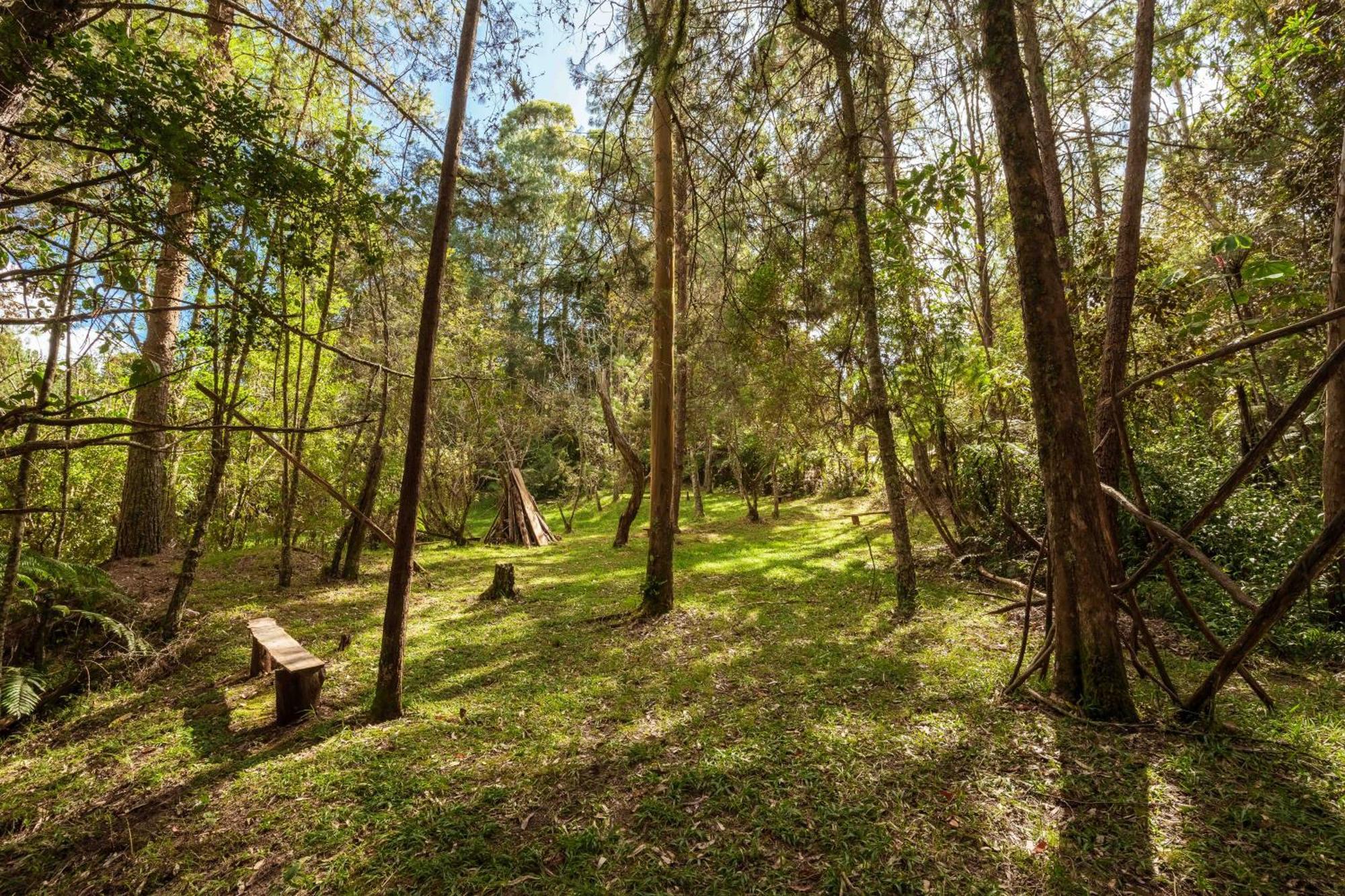 Alma Hotel Campestre サンタ・エレナ エクステリア 写真